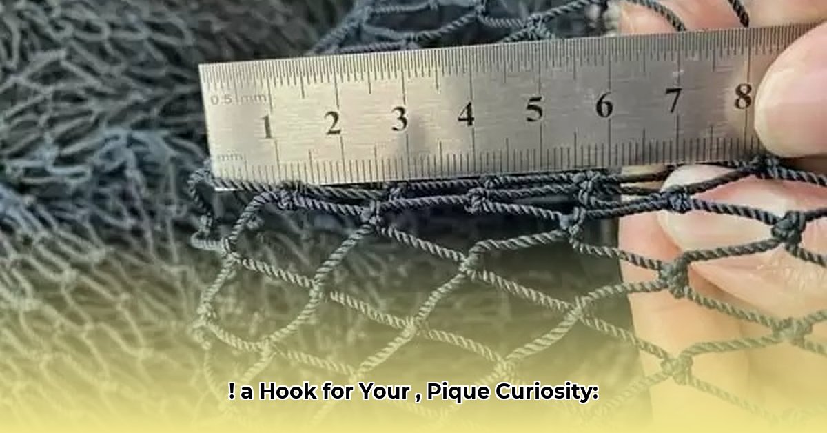 net-worth-of-the-pope